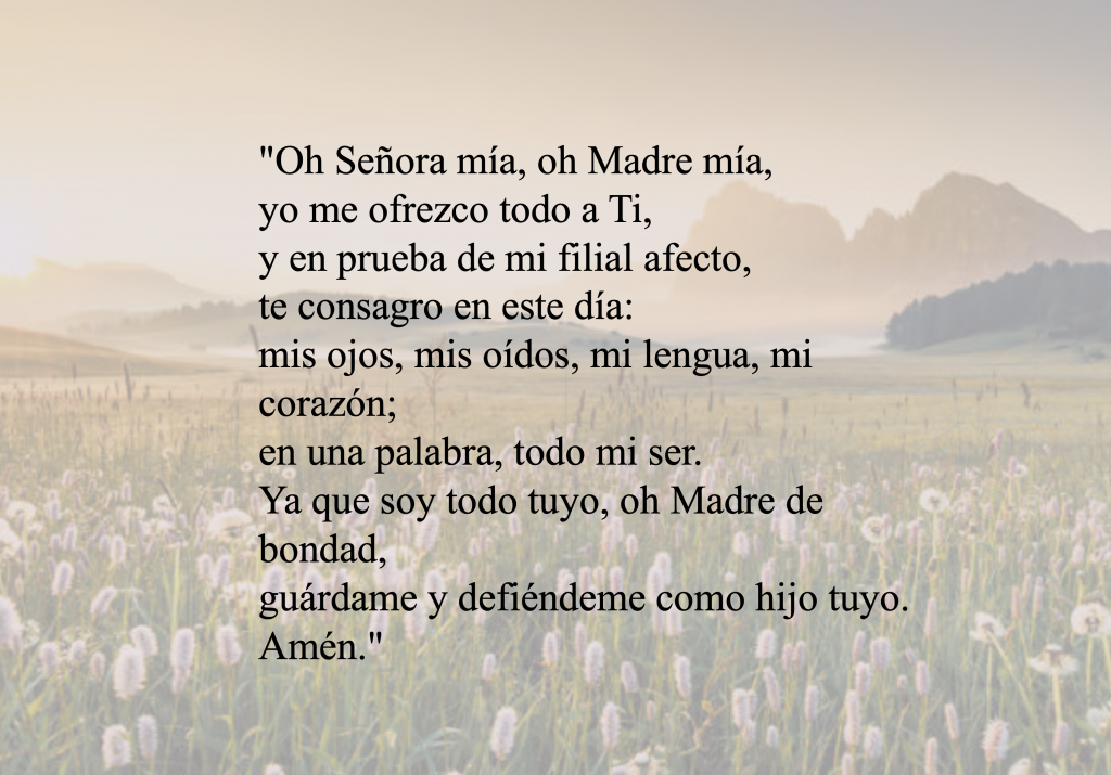 consagración a la virgen maría